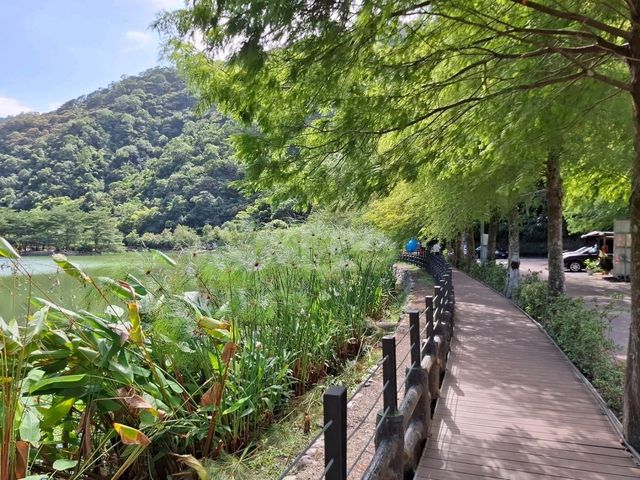 宜蘭望龍埤|親子踏青秘境,湖光山色悠閒遊 宜蘭望龍埤|親子踏青秘境,湖光山色悠閒遊