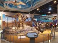 🌌 Interactive Wonders at Gwacheon National Science Museum