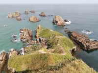 🇳🇿 New Zealand Road Trip - เล่าเรื่องด้วยภาพ#11
