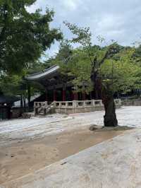 한국의 미를 느낀 하루 🇰🇷
