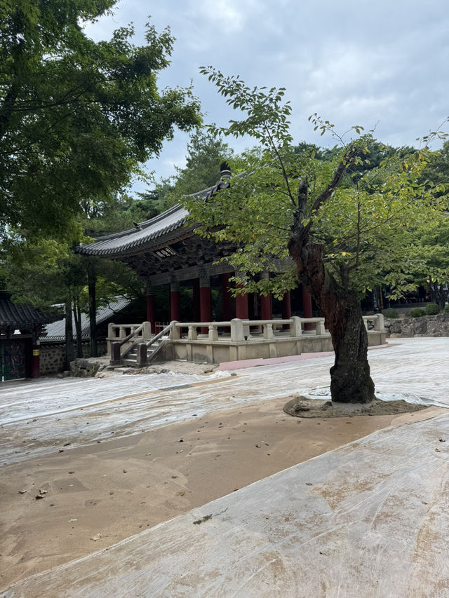 한국의 미를 느낀 하루 🇰🇷