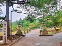 세계 최대 목조건축물을 만나다, 일본 나라 동대사