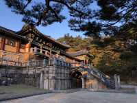 🕊️ 경주, 불국사와 석굴암에서 만난 신비로운 역사