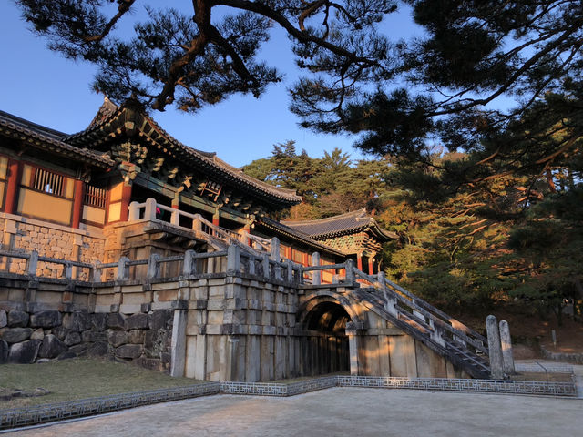 🕊️ 경주, 불국사와 석굴암에서 만난 신비로운 역사
