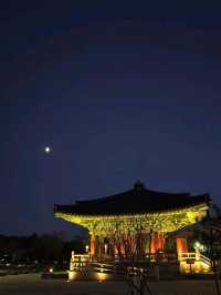 천년 고도, 경주의 밤 산책🌛