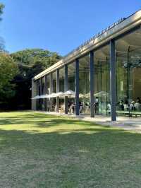 🌿 Sunlit Lunch at Cafe TEIEN, Tokyo Metropolitan Teien Art Museum