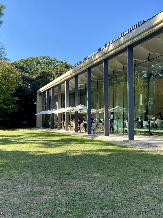 🌿 Sunlit Lunch at Cafe TEIEN, Tokyo Metropolitan Teien Art Museum