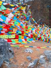 🙏 : Chonggu Temple , Yading National Reserve จีน