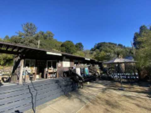 University of California Botanical Garden