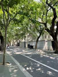 ํฌํ ์กด & ํ ๊ฐ์ฑ ํ๊ฐ๋! ์ํ์ด ํ์ ๊ด๊ด์ง โWukangโ๐ซง