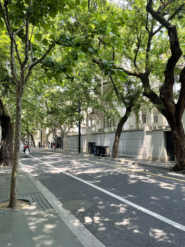 ํฌํ ์กด & ํ ๊ฐ์ฑ ํ๊ฐ๋! ์ํ์ด ํ์ ๊ด๊ด์ง โWukangโ๐ซง ํฌํ ์กด & ํ ๊ฐ์ฑ ํ๊ฐ๋! ์ํ์ด ํ์ ๊ด๊ด์ง โWukangโ๐ซง