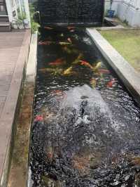 ครัวห้วยทราย ร้านอาหารย่านเพชรบุรี 🥰🧸