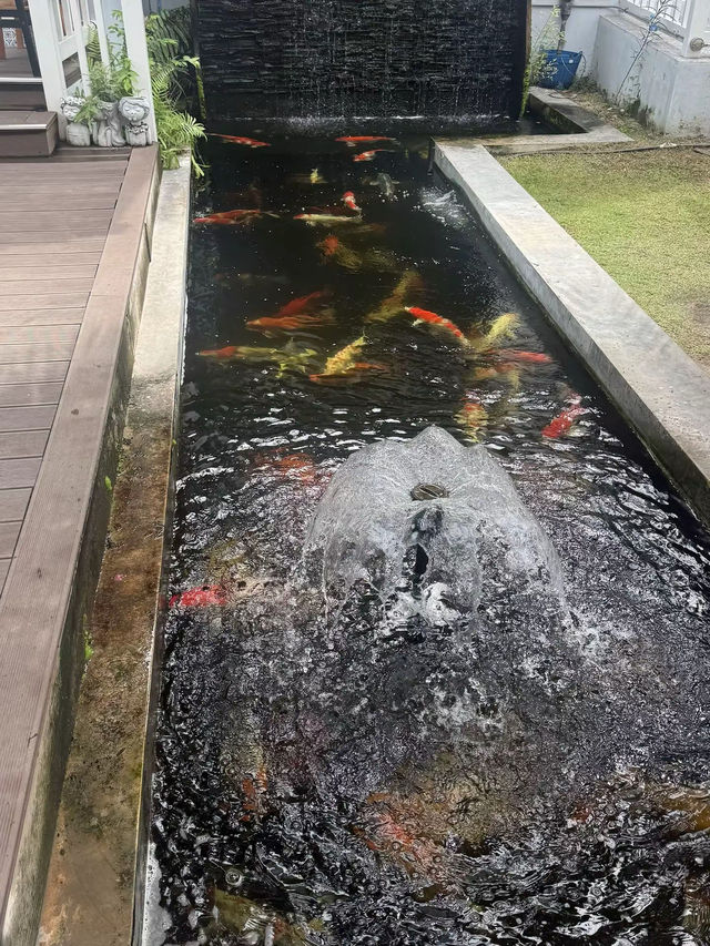 ครัวห้วยทราย ร้านอาหารย่านเพชรบุรี 🥰🧸