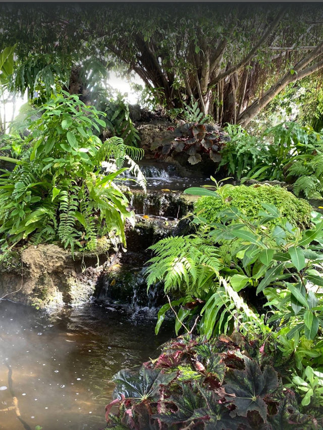 Foresta Cafe ดอนเมือง 