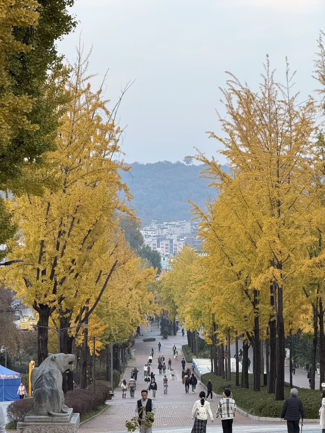 서울 도심 속 단풍 명소, 어린이대공원 서울 도심 속 단풍 명소, 어린이대공원
