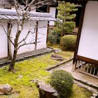 🍂 “Crimson Whispers at Zuishin-in Temple”