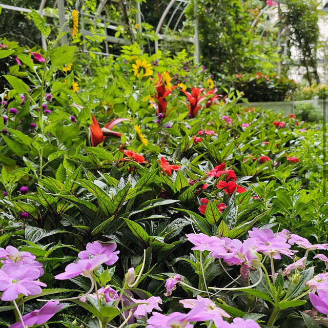 Kowloon Park 九龍公園