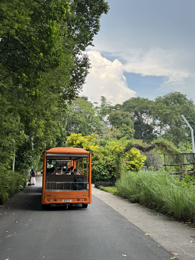 싱가포르 여행일정 공유 - DAY1 🇸🇬