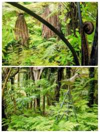 ニュージーランドのシンボルを探して