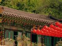 🕊️ Bongeunsa Temple – A Peaceful Escape in the Heart of Gangnam