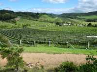 Where Every Corner Feels Like A Holiday