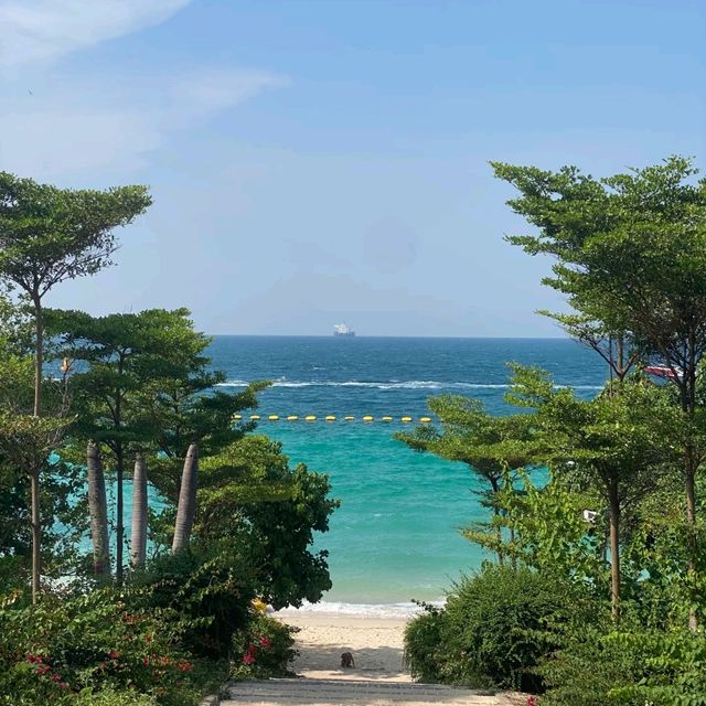 แพลนเที่ยวเกาะล้าน 2 วัน 1 คืน แพลนเที่ยวเกาะล้าน 2 วัน 1 คืน