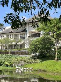 Mystic Bali Escape✨  