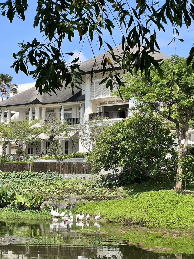 Mystic Bali Escape✨  