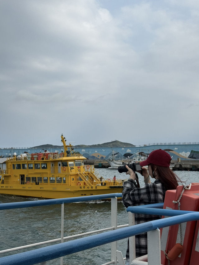 济州岛自然美景与烟火美食交织的舒心体验 💗 济州岛自然美景与烟火美食交织的舒心体验 💗