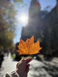 Australia’s Dreamy Adventures: Gold Coast Thrills & Melbourne Views 🏖️🌆