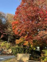 워커힐을 산챡하며