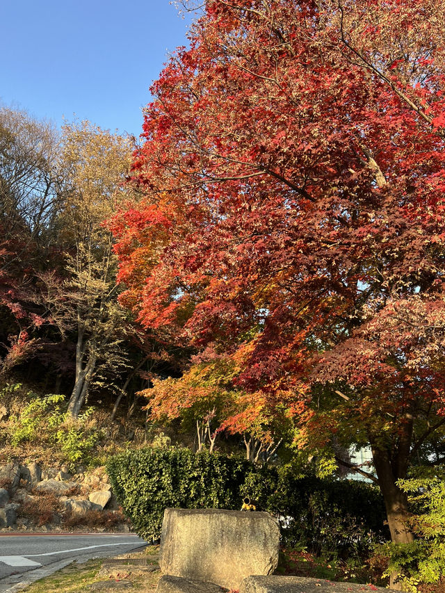 워커힐을 산챡하며