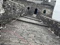 【1day深セン】中国深圳　テーマパーク巡り