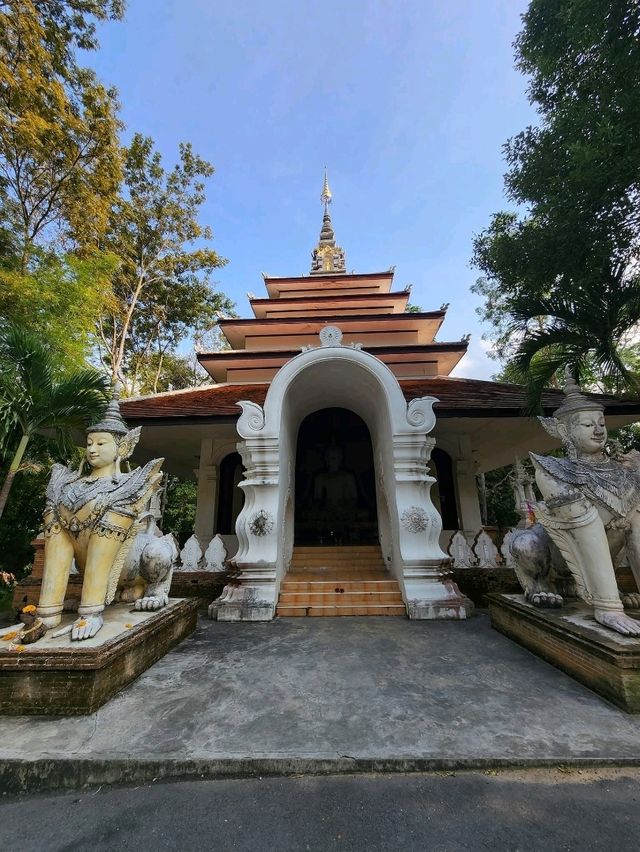 Chasing Waterfalls in Chiang Mai 🏞️✨