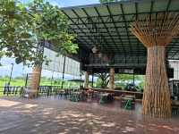 คาเฟ่บรรยากาศท้องทุ่ง @ ภูเขียว