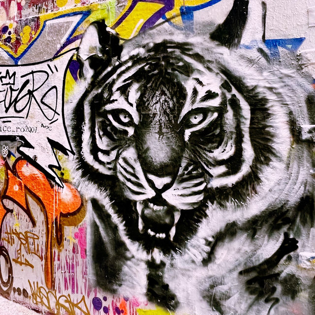 Melbourne’s Iconic Graffiti Alley: Street Art Vibes in the CBD 🎨🔥 Melbourne’s Iconic Graffiti Alley: Street Art Vibes in the CBD 🎨🔥