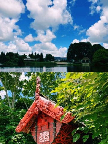 紐西蘭漢密爾頓花園(Hamilton Gardens)心得 | 每個主題都漫步不同世界的一天