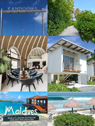 PARADISE PATHWAYS: WHERE EVERY STEP TELLS A STORY