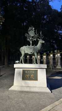 奈良春日大社 - 節分萬燈祭