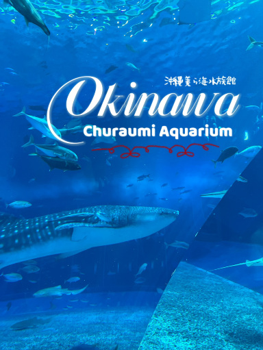 最新】沖縄美ら海水族館 - チケット、営業時間、口コミ、写真 [2026年