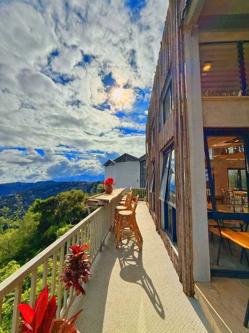 Lost in the Fog: A Weekend Escape to the City of Pines