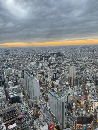 Shibuya Sky 東京必去觀景台。