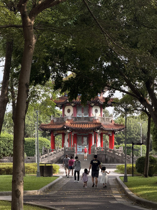 228和平公園的悠閒氛圍:台北輕鬆散步好去處