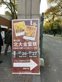 北海道大學：「北大金葉季」被銀杏樹包圍的療癒散策日記📓