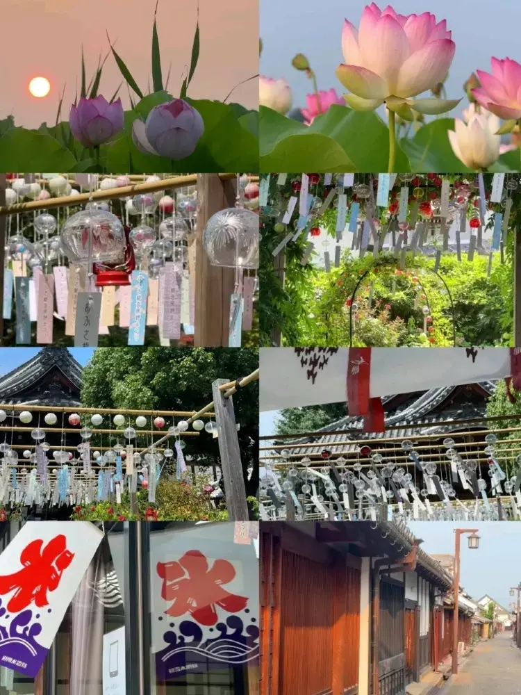 夏日奈良精選半日遊