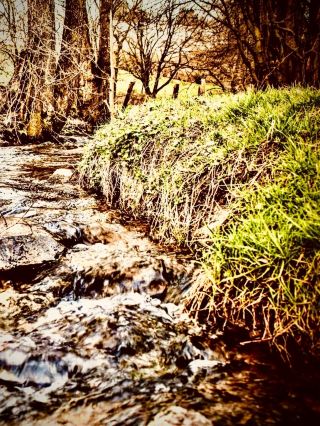 India Meghalaya Cherrapunji Nohkalikai Mossy Living Root Bridgeeasytravelpost #Cherrapunji #Nohkali