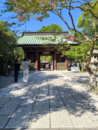 Kamakura Great Buddha • Kotoku-in Temple.