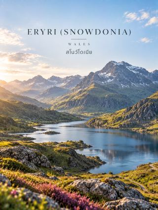 🏴 ZONE 08 — WALES

ปราสาท เมืองเล็ก ภูเขา และชายฝั่งสุดโรแมนติก 🏰🏔️🌊

จาก Scotland ต่อกันที่ Wales 🇬🇧✨ ดินแดนที่มีเสน่ห์คนละแบบกับอังกฤษและสกอตแลนด์ ทั้งปราสาทยุคกลาง ภูเขา ชายฝั่ง และหมู่บ้านเล็ก ๆ ที่บรรยากาศดีมาก

🏙️ Cardiff
เมืองหลวงของเวลส์ เดินเที่ยวไม่ยาก มี Cardiff Castle, Cardiff Bay พิพิธภัณฑ์ และร้านอาหาร เหมาะสำหรับเริ่มต้นทริปแบบสบาย ๆ

🏰 Conwy
เมืองกำแพงโบราณที่มี Conwy Castle เป็นไฮไลต์ เดินตามกำแพงเมืองแล้วเห็นทั้งปราสาท เมืองเก่า และวิวแม่น้ำ บรรยากาศเหมือนย้อนยุคเลย

🏔️ Eryri (Snowdonia)
โซนธรรมชาติที่ต้องมีในลิสต์ ⛰️ เป็นที่ตั้งของ Yr Wyddfa (Snowdon) ภูเขาที่สูงที่สุดในเวลส์ พร้อมหุบเขา ทะเลสาบ และเส้นทางเดินเขาสวย ๆ

🌿 Bannau Brycheiniog (Brecon Beacons)
เหมาะกับสายธรรมชาติและคนชอบวิวภูเขา มีทั้งยอดเขา หุบเขา ถ้ำ และพื้นที่ชนบทกว้าง ๆ เป็นอีกพื้นที่ที่เที่ยวได้หลายสไตล์

🌊 Pembrokeshire
ชายฝั่งตะวันตกของเวลส์สวยมาก มีหน้าผา อ่าวเล็ก ๆ หาดทราย และสัตว์ทะเล 🐬 ที่นี่มี Pembrokeshire Coast National Park ซึ่งเป็น National Park ที่เน้นพื้นที่ชายฝั่งโดยเฉพาะ

🎨 Tenby
เมืองริมทะเลสีสันสวย มีบ้านโทนพาสเทล ท่าเรือ และชายหาดทราย เหมาะกับการเดินเล่นชิล ๆ โดยเฉพาะช่วงเช้าหรือเย็น

🏘️ Portmeirion
หมู่บ้านสไตล์อิตาเลียนสุดแปลกตาริมน้ำ อาคารสีพาสเทลและสวนสวย ๆ ให้ฟีลไม่เหมือนเมืองอื่นใน Wales เลย

🚆 การเดินทาง
Cardiff เดินทางง่ายด้วยรถไฟ ส่วน North Wales และ Eryri มีรถไฟและรถบัสเชื่อมหลายพื้นที่ แต่ถ้าจะเก็บจุดธรรมชาติหลายแห่งในทริปเดียว เช่ารถจะสะดวกกว่า

🌸 ช่วงน่าเที่ยว
พ.ค.–ก.ย. เหมาะกับการเที่ยวกลางแจ้งและชายฝั่ง ส่วนฤดูใบไม้ร่วงเหมาะกับคนที่ชอบภูเขาและบรรยากาศเงียบ ๆ 🍂

💡 แนะนำ: ถ้ามีเวลา 6–8 วัน ลองจัด
Cardiff → Brecon → Pembrokeshire → Tenby → Portmeirion → Eryri → Conwy
จะได้ครบทั้งเมือง ปราสาท ภูเขา และทะเลในทริปเดียว

Wales เป็นประเทศเล็ก ๆ ที่เที่ยวได้หลากหลายมาก ทั้งสงบ โรแมนติก และมีธรรมชาติที่สวยแบบไม่ต้องปรุงแต่ง 💚🏴

#WalesTravel #เที่ยวเวลส์ #UKTravel #เที่ยวอังกฤษ