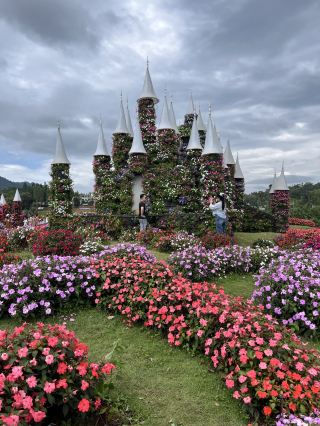 Mon Kae: Let the Flower Castle Soothe Your Soul