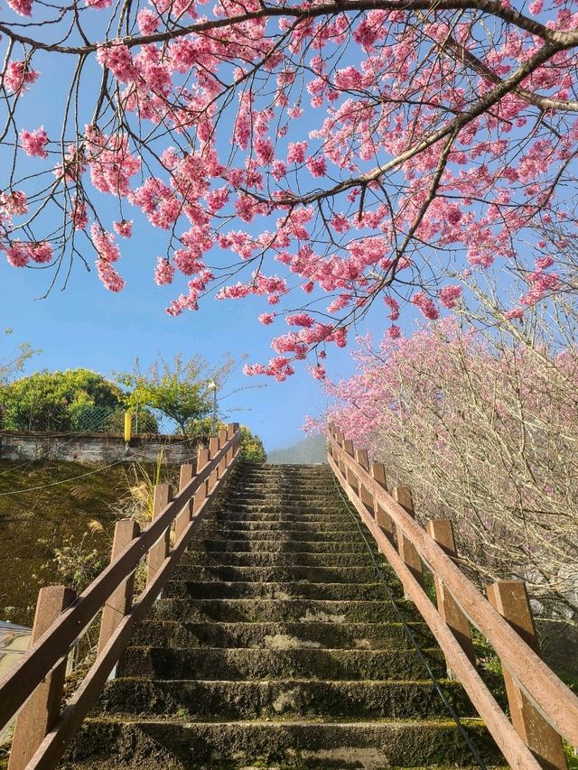 台湾でグランピング